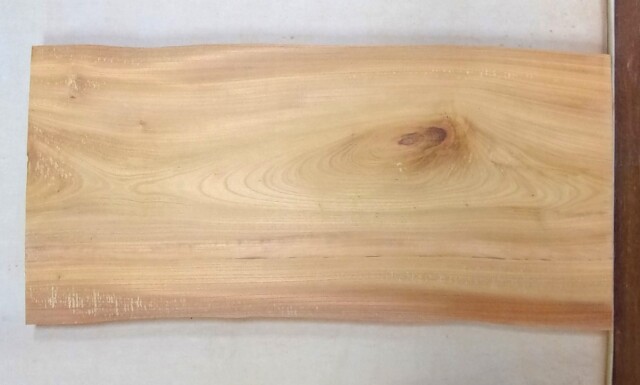 堅実な究極の ケヤキ素材専門店 山成林業 大型無垢一枚板 ＫＢ−６２３ ケヤキ 大型看板に最適